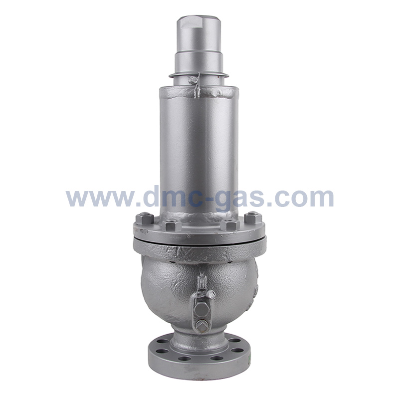 MS Miyairi LPG Relief Valve / Safety Valve_3