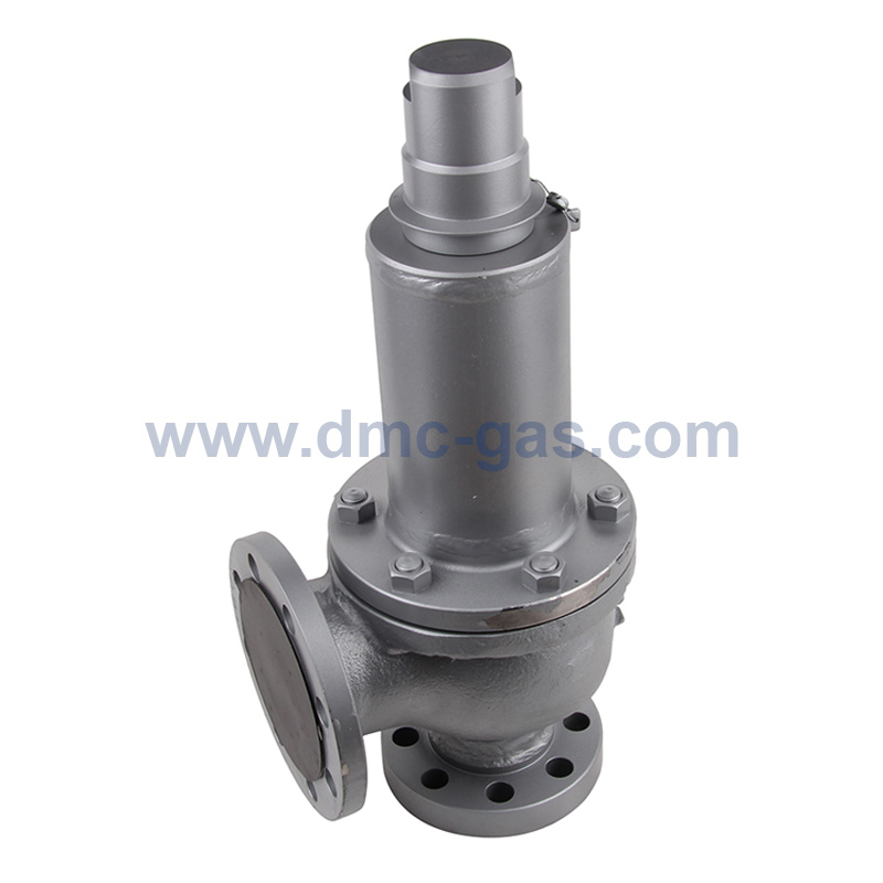 MS Miyairi LPG Relief Valve / Safety Valve