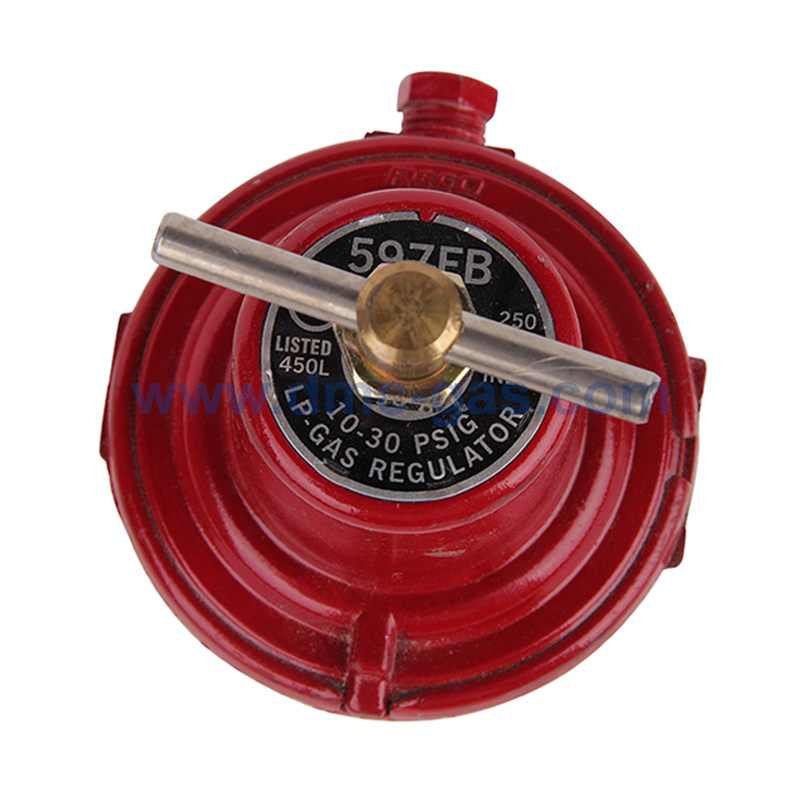 RegO 597FA/597FB/597FC/597FD Regulator _2