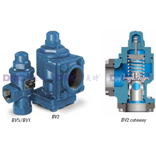 Blackmer LPG Bypass Valves Precise, On-Line Pressure Protection