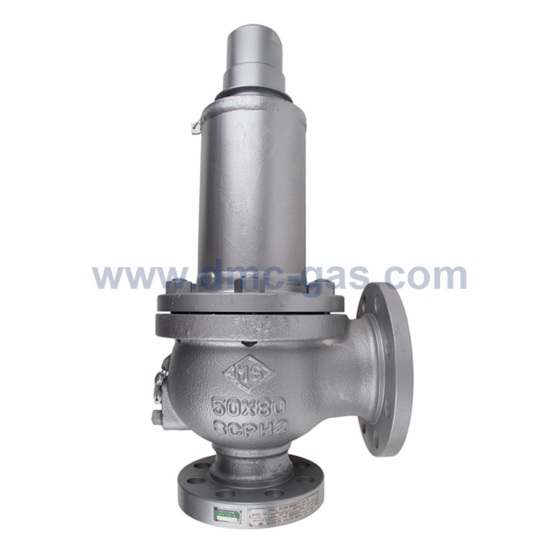 MS Miyairi LPG Relief Valve / Safety Valve_2