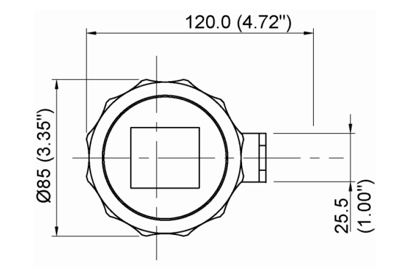 Rochester T/LL70 Vertical Float Switch